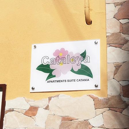 Ferienwohnung Cataleya CTA Exterior foto