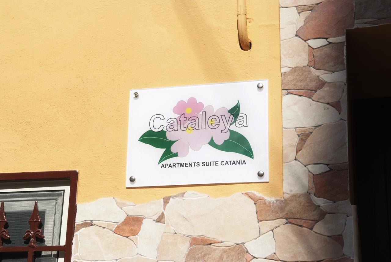 Ferienwohnung Cataleya CTA Exterior foto
